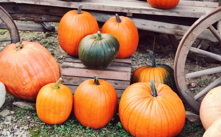 images